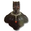 Black Panter Magnet