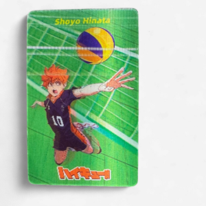 Haikyuu! 3D Sticker Hinata Spike