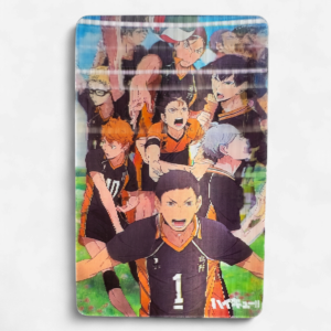 Haikyuu! 3D Sticker Karasuno