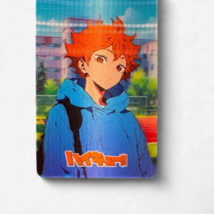 Haikyuu! 3D Sticker Hinata Hoodie